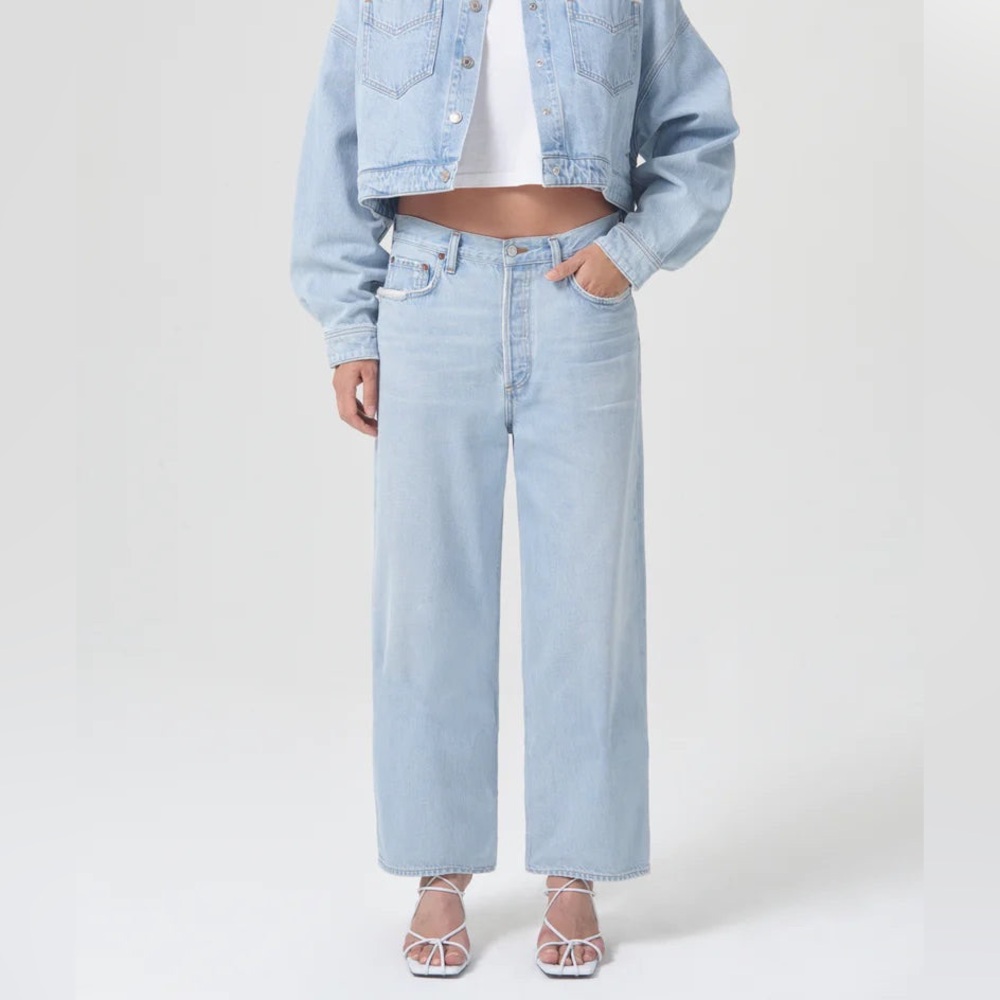 Agolde low slung baggy jean in Shake